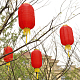 photo-2931537